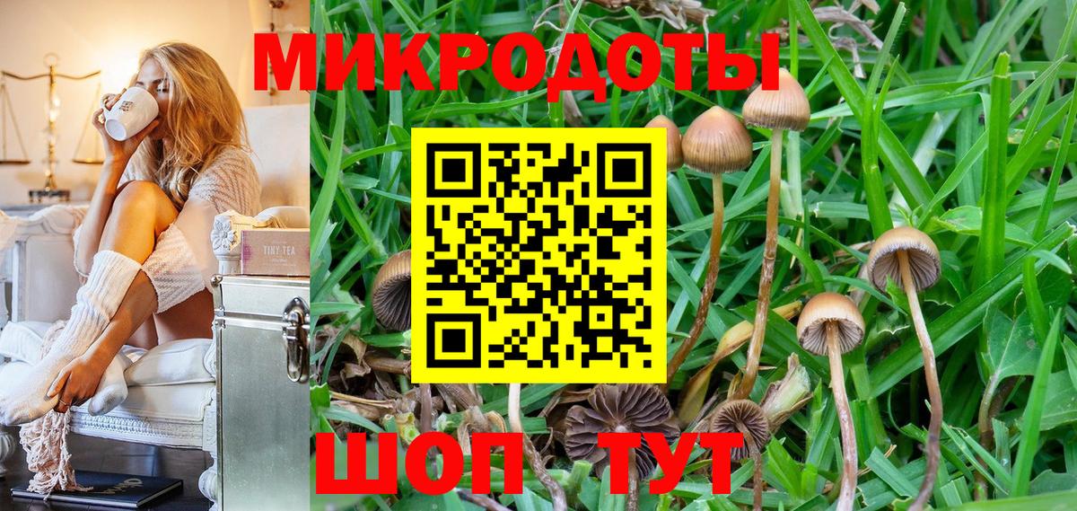 Галлюциногенные грибы Psilocybine cubensis  купить наркотики цена  Вход с VPN  Котлас  Галлюциногенные грибы мухоморы 