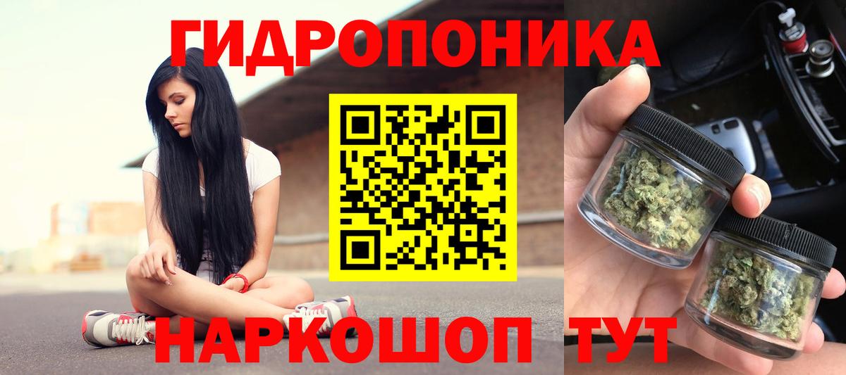 Котлас  Конопля конопля  Вход с VPN  Канабис VHQ 